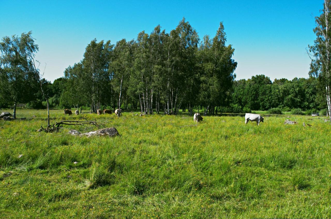 Gaeststugan Skara Exterior foto