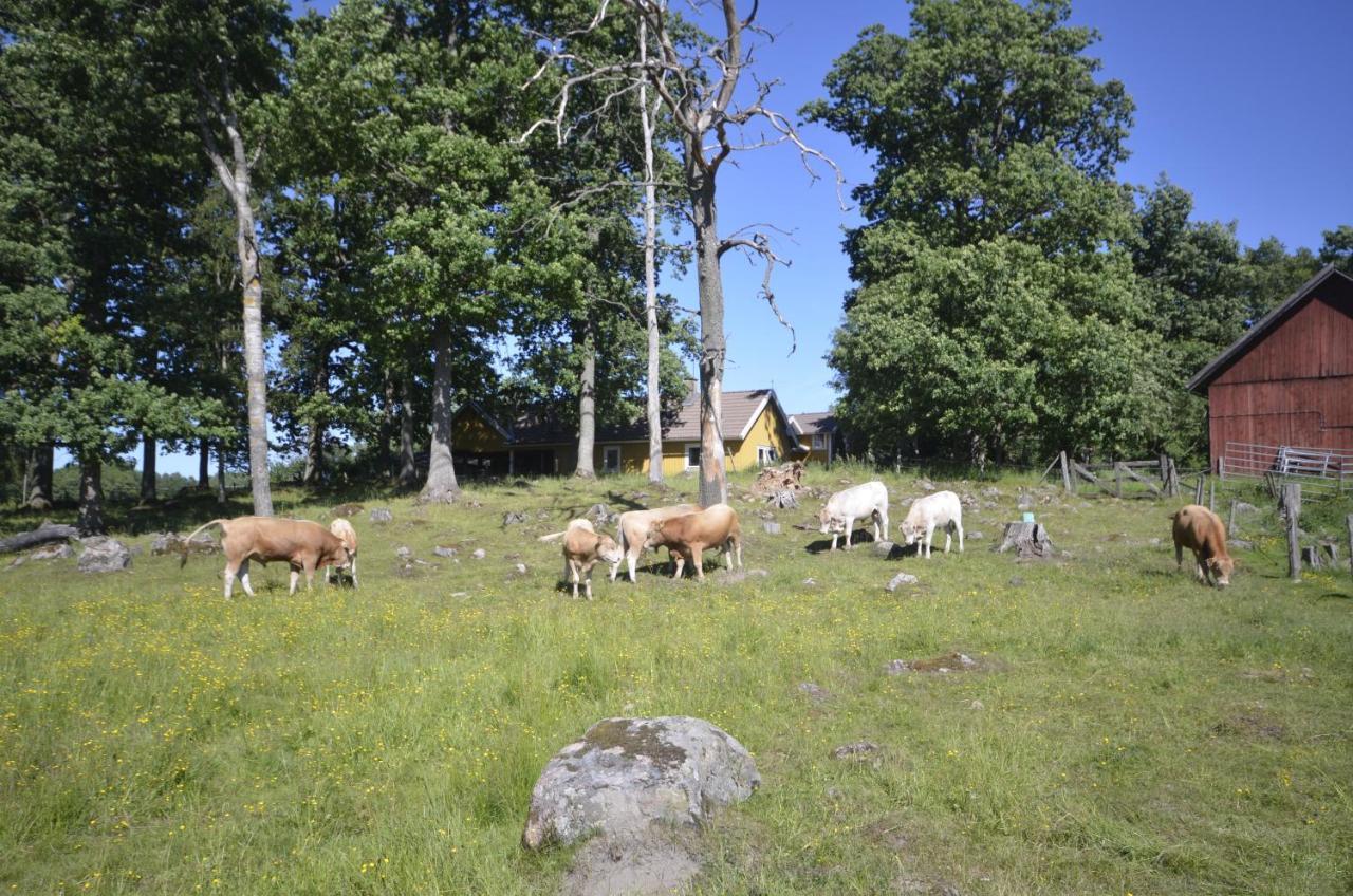 Gaeststugan Skara Exterior foto